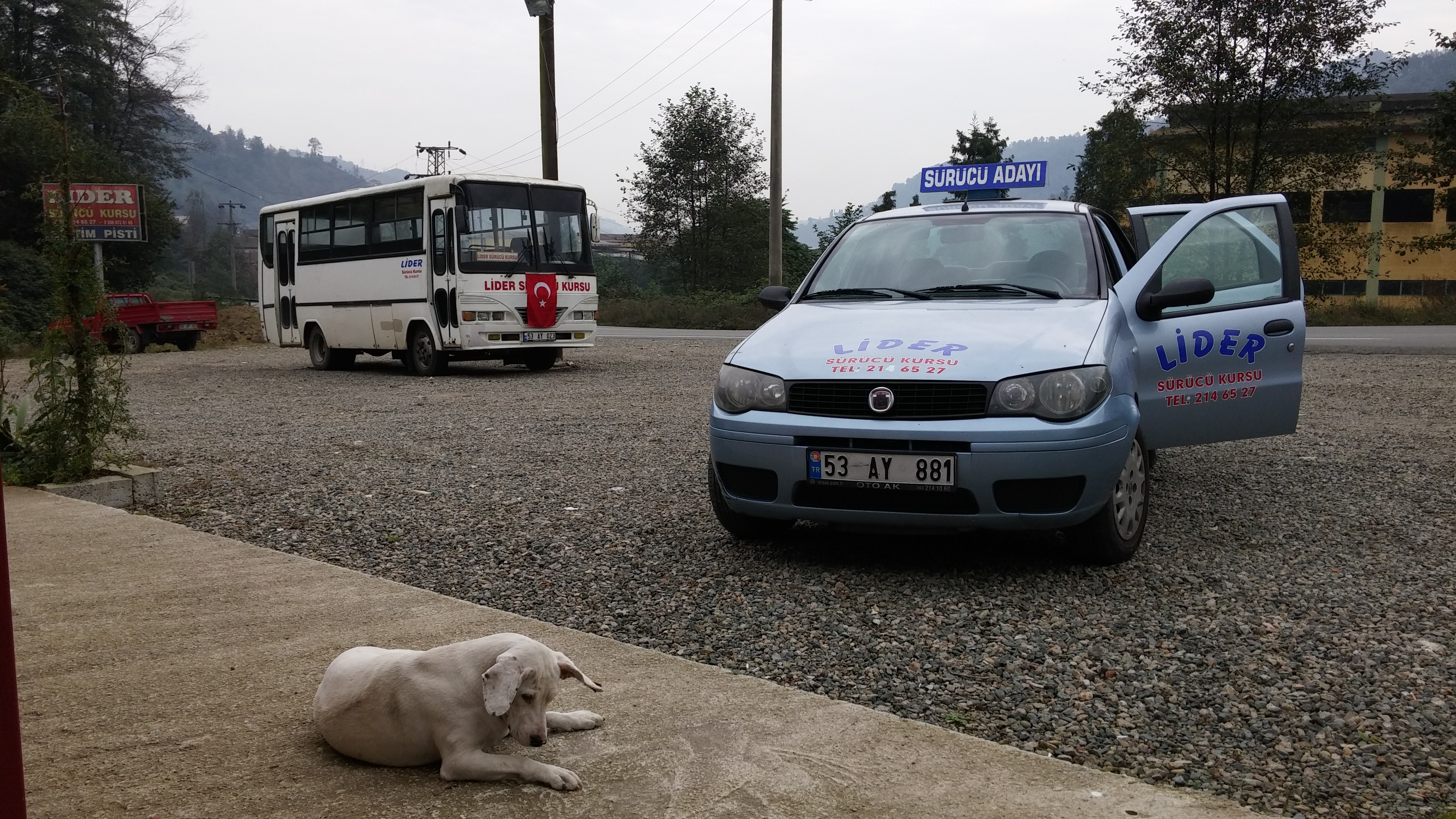 Rize Lider Sürücü Kursu